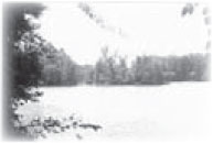 Tuckaseegee Ford